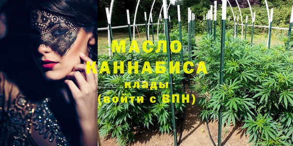 индика Абдулино