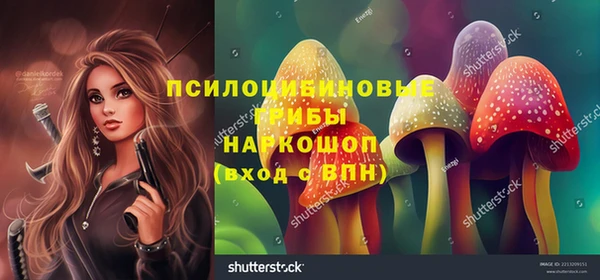 индика Абдулино